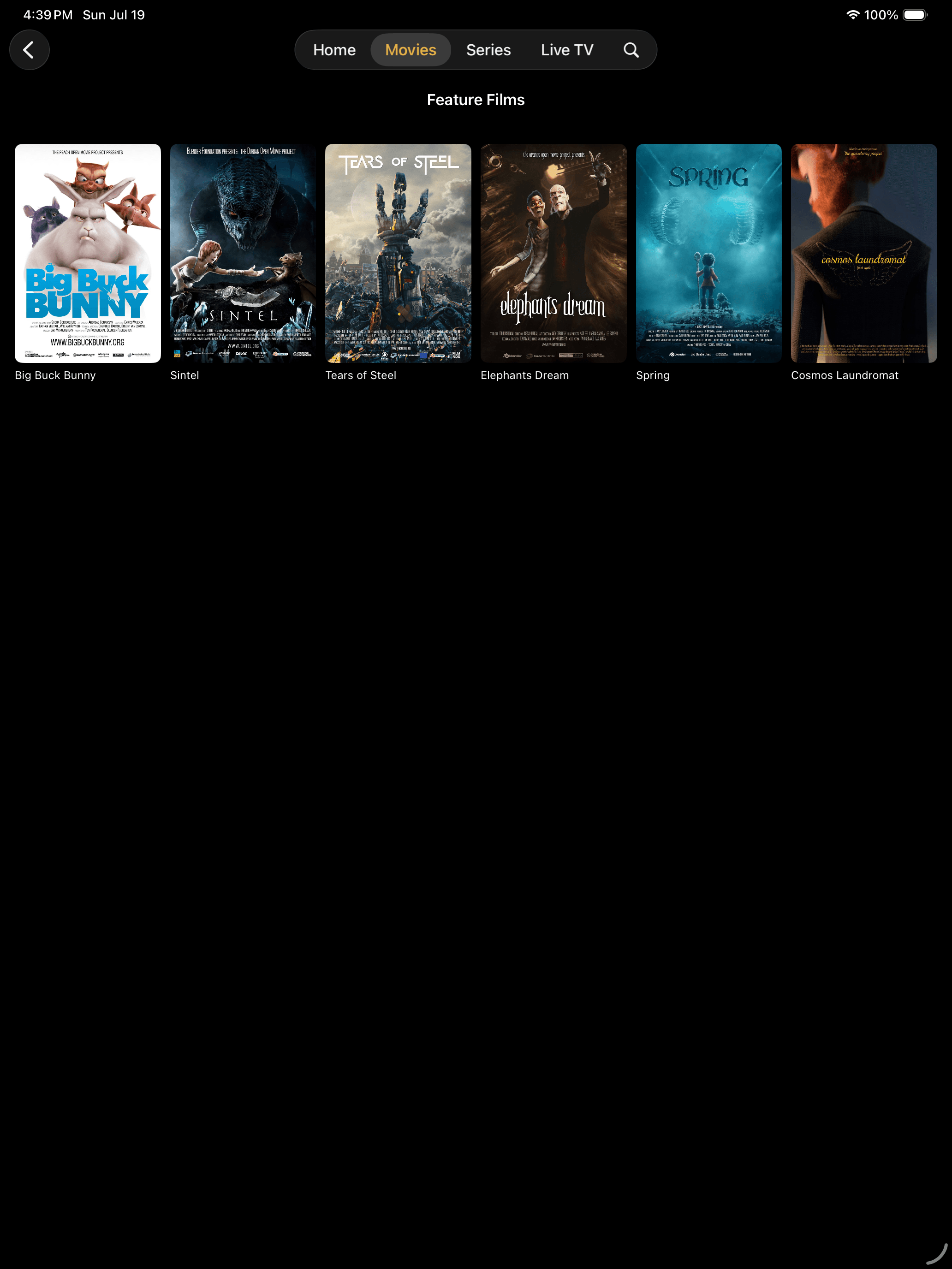Miru Movies on iPad — poster grid
